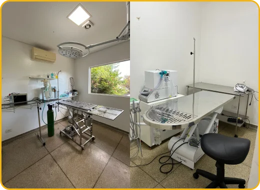 Sala de cirurgia - Anima Doux Clínica Veterinária 24h em Campo Grande-MS